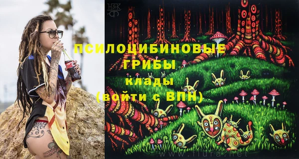 a pvp Алзамай
