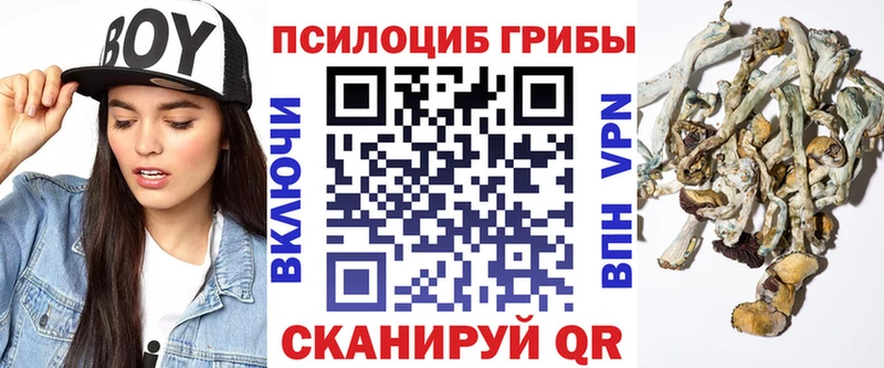 Псилоцибиновые грибы Psilocybine cubensis  Ржев 